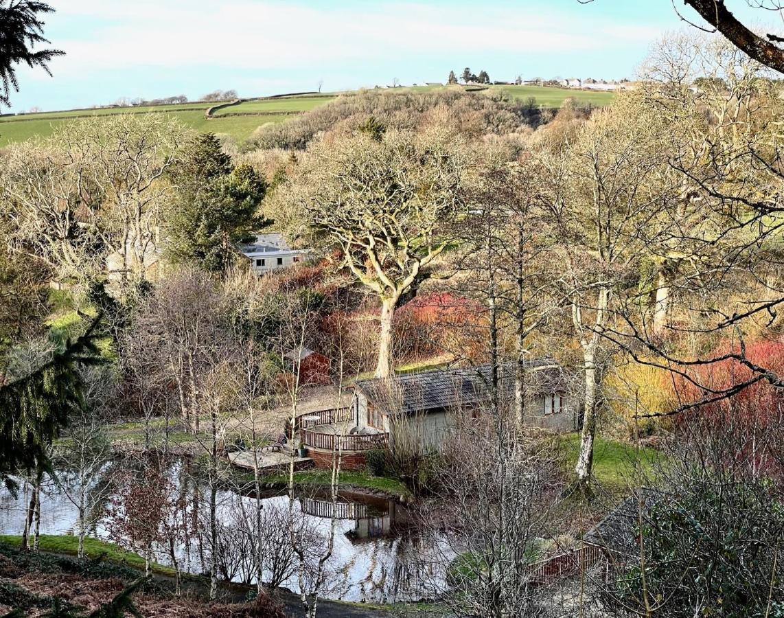 Vila The Maples Narberth Exteriér fotografie